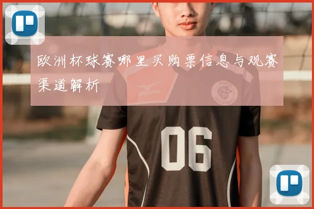 欧洲杯球赛哪里买购票信息与观赛渠道解析