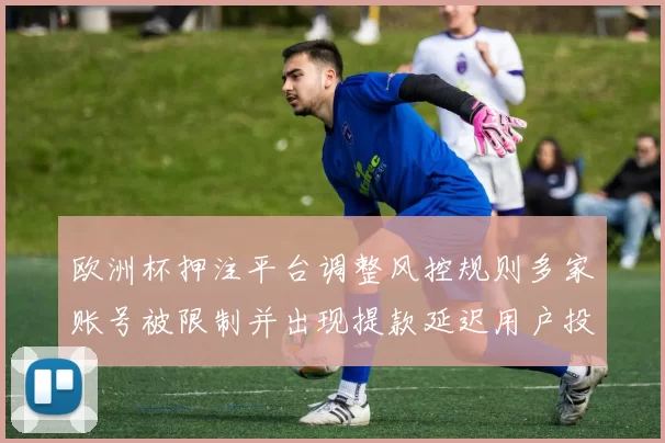 欧洲杯押注平台调整风控规则多家账号被限制并出现提款延迟用户投诉增多