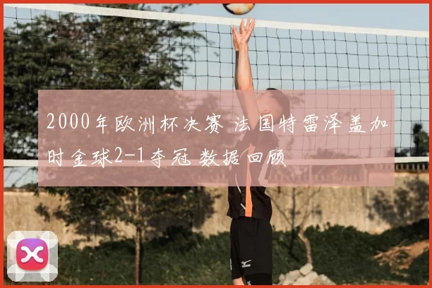 2000年欧洲杯决赛 法国特雷泽盖加时金球2-1夺冠 数据回顾