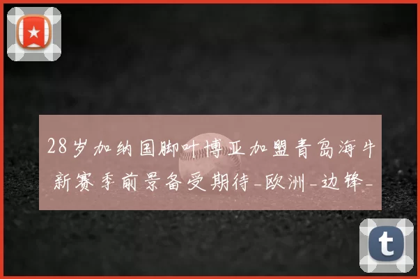 28岁加纳国脚叶博亚加盟青岛海牛 新赛季前景备受期待_欧洲_边锋_曼城